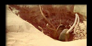 sarlaccpit