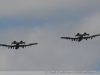 2010-01-UMUConn39