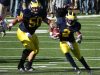 2010-UMIllinois-2-7 2010-UMIllinois-2-7