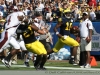 2011-um-gator15