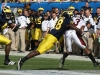 2011-um-gator18