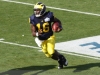 2011-um-gator2-3