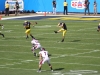2011-um-gator2-5