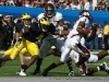 2011-um-gator20