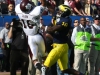 2011-um-gator27