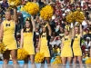 2011-um-gator29