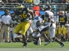2011-um-gator37