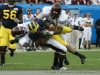 2011-um-gator58