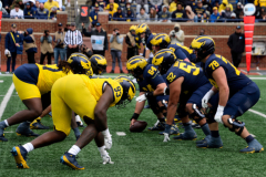 2026_00_Maize7_Blue6_JL-1