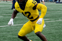 2026_00_Maize7_Blue6_JL-10