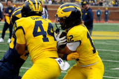 2026_00_Maize7_Blue6_JL-3