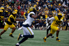 2026_00_Maize7_Blue6_JL-7