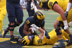 2026_00_Maize7_Blue6_RMC-19