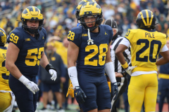 2026_00_Maize7_Blue6_RMC-20