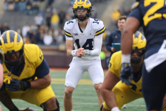2026_00_Maize7_Blue6_RMC-21