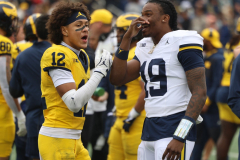 2026_00_Maize7_Blue6_RMC-33