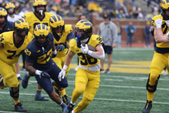 2026_00_Maize7_Blue6_RMC-37