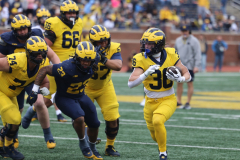 2026_00_Maize7_Blue6_RMC-38