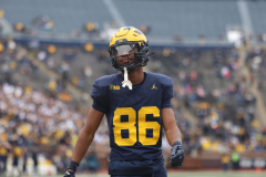 2026_00_Maize7_Blue6_RMC-39