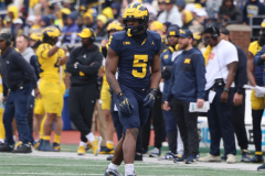 2026_00_Maize7_Blue6_RMC-40
