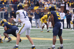 2026_00_Maize7_Blue6_RMC-41