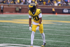 2026_00_Maize7_Blue6_RMC-44
