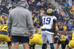 2026_00_Maize7_Blue6_RMC-48