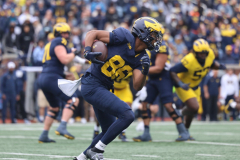 2026_00_Maize7_Blue6_RMC-49