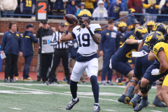 2026_00_Maize7_Blue6_RMC-54