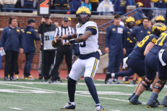 2026_00_Maize7_Blue6_RMC-55