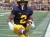 2021_01_UM41_WMU14-19