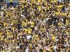 2021_01_UM41_WMU14-2