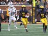 2021_01_UM41_WMU14-24