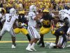 2021_01_UM41_WMU14-30