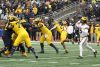 2023_00_Maize22_Blue21_DJC-4