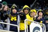 2023_08_UM49_msu0_DJC-3 2023_08_UM49_msu0_DJC-3