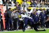2023_08_UM49_msu0_DJC-8 2023_08_UM49_msu0_DJC-8