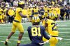 2024_00_Maize17_Blue7_MAB_-1