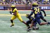 2024_00_Maize17_Blue7_MAB_-21