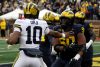 2024_00_Maize17_Blue7_MAB_-30