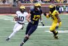 2024_00_Maize17_Blue7_MAB_-32