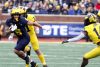 2024_00_Maize17_Blue7_MAB_-34