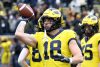 2024_00_Maize17_Blue7_MAB_-38