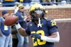 2024_00_Maize17_Blue7_MAB_-40