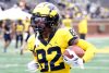 2024_00_Maize17_Blue7_MAB_-42