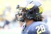 2024_00_Maize17_Blue7_MAB_-44