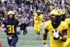 2024_00_Maize17_Blue7_MAB_-8