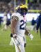 2025_08_Michigan31_msu20_RMC-74